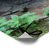 CVNP - Blue Hen 2010 Poster (Hoek)