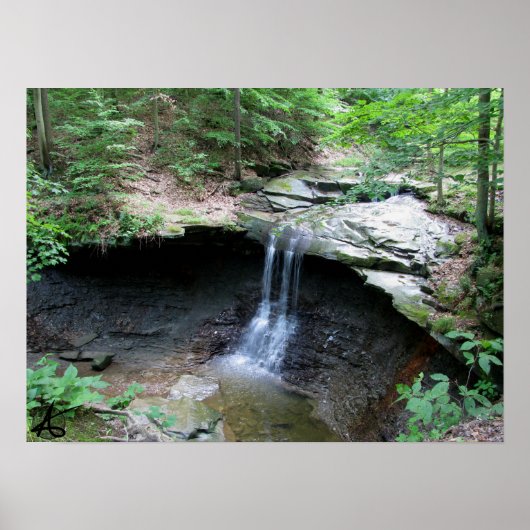 CVNP - Blue Hen 2010 Poster (Voorkant)