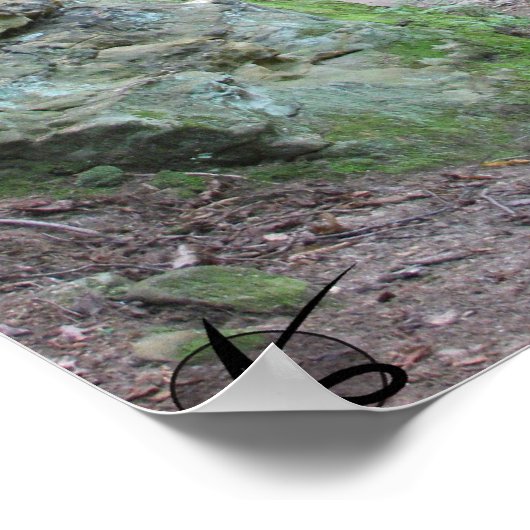 CVNP - Ledges 2010 Poster (Hoek)