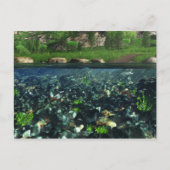 Cwm River Briefkaart (Voorkant)