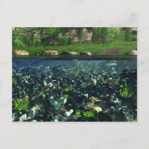 Cwm River Briefkaart