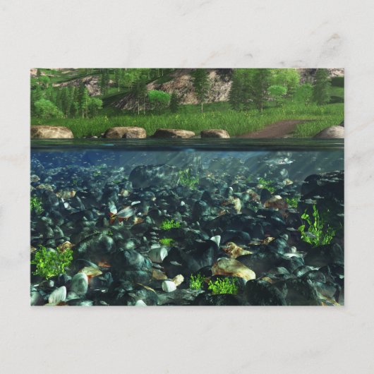 Cwm River Briefkaart (Voorkant)