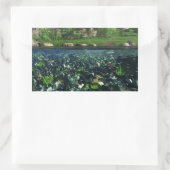 Cwm River Stickers (Tas)