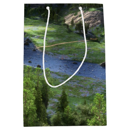 Cwm Solitude Gift Bag Medium Cadeauzakje (Voorkant)