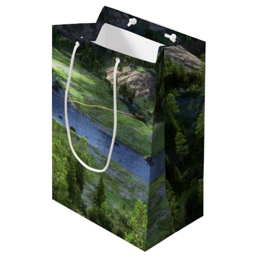 Cwm Solitude Gift Bag Medium Cadeauzakje (Voorkant Gekanteld)