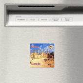 CY016 - NICOSIA Paphos Archeological Park - Magneet (Insitu (Vaatwasser))