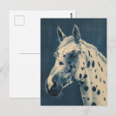 Cyanotype luipaard Appaloosa Briefkaart (Voorkant / Achterkant)