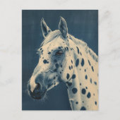 Cyanotype luipaard Appaloosa Briefkaart (Voorkant)