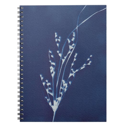 Cyanotype Print Grass Blue en White Notitieboek (Voorkant)