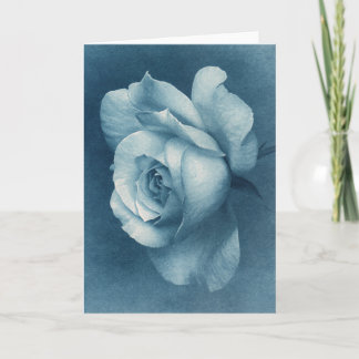 Cyanotype-Roos Kaart