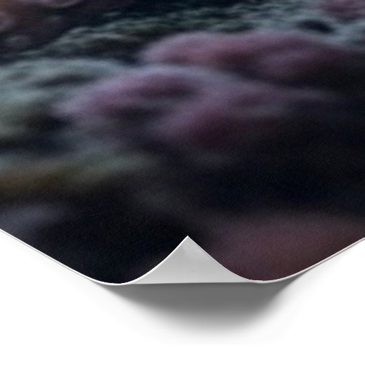 Cyber Octopus matte poster (Hoek)