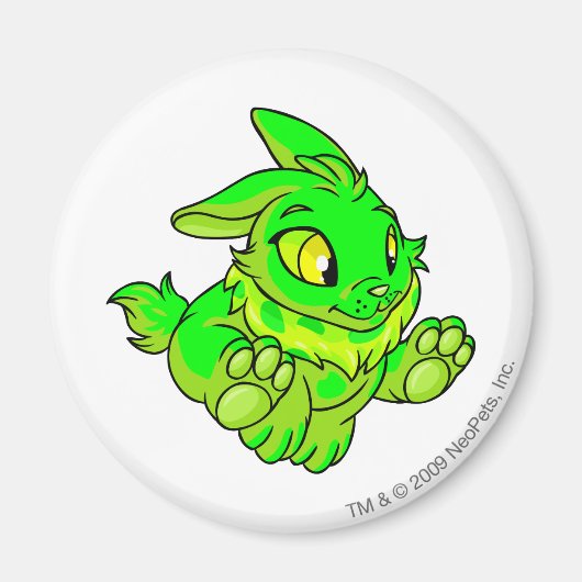 Cybunny Ggloing Magneet (Voorkant)