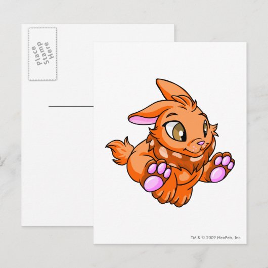 Cybunny Oranje Briefkaart (Voorkant / Achterkant)