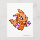 Cybunny Oranje Briefkaart (Voorkant)