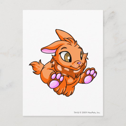 Cybunny Oranje Briefkaart (Voorkant)