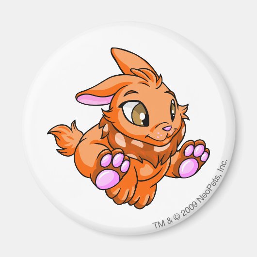 Cybunny Oranje Magneet (Voorkant)
