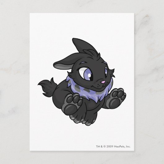 Cybunny Shadow Briefkaart (Voorkant)