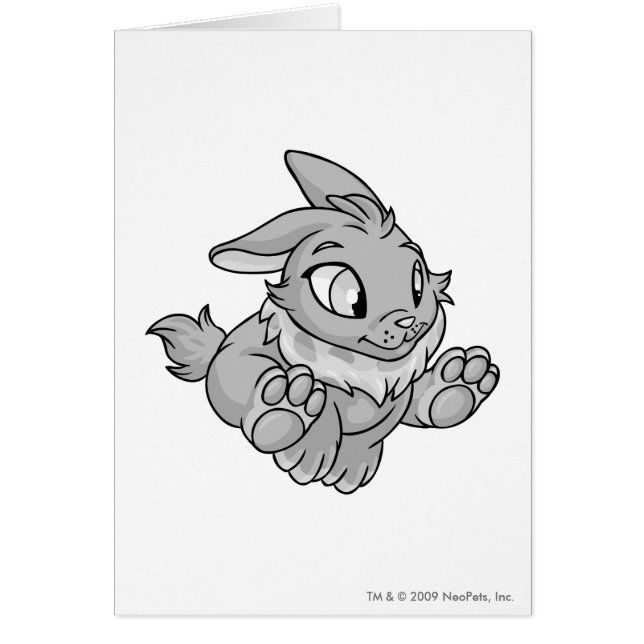 Cybunny Silver (Voorkant)
