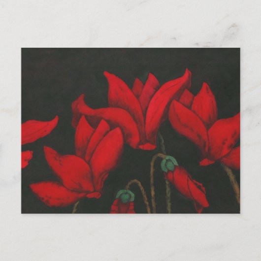 "Cycalman" Floral Briefkaart (Voorkant)