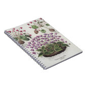 Cyclamen: 1.Cyclamen serotinum foliis hederaceis; Notitieboek (Rechterzijde)