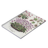 Cyclamen: 1.Cyclamen serotinum foliis hederaceis; Notitieboek (Linkerzijde)