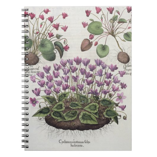 Cyclamen: 1.Cyclamen serotinum foliis hederaceis; Notitieboek (Voorkant)