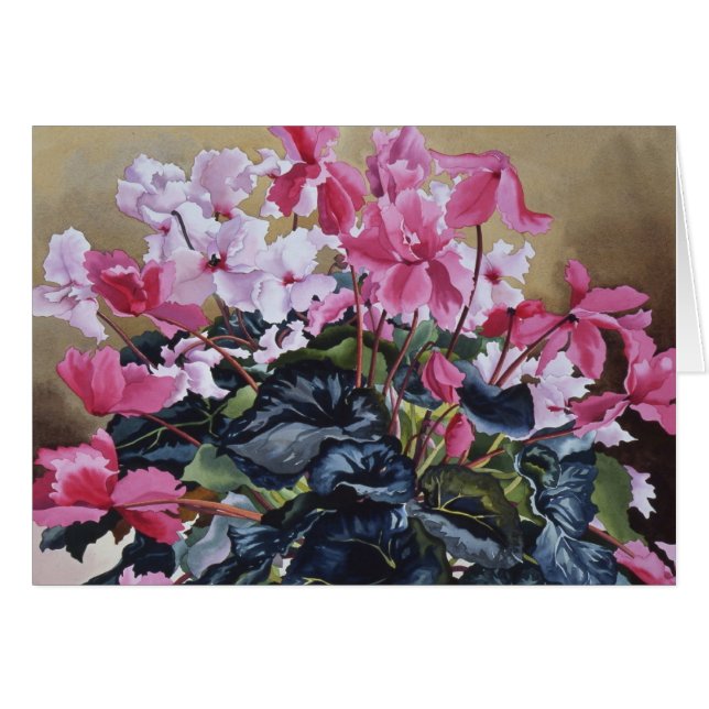 Cyclamen 2004 (Voorkant Horizontaal)