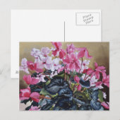 Cyclamen 2004 briefkaart (Voorkant / Achterkant)