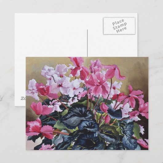 Cyclamen 2004 briefkaart (Voorkant / Achterkant)