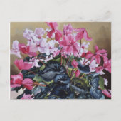 Cyclamen 2004 briefkaart (Voorkant)