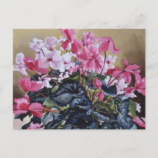 Cyclamen 2004 briefkaart (Voorkant)