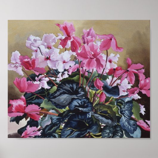 Cyclamen 2004 poster (Voorkant)