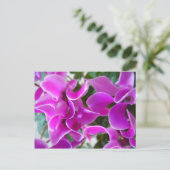 cyclamen briefkaart (Staand voorkant)