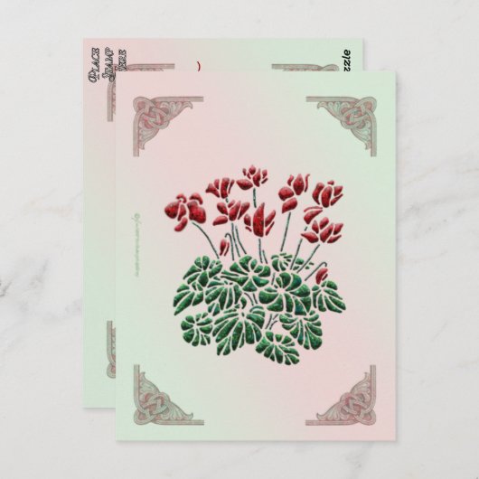 Cyclamen Briefkaart (Voorkant / Achterkant)