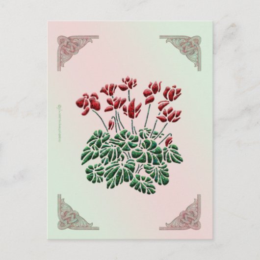 Cyclamen Briefkaart (Voorkant)