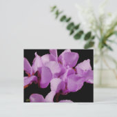Cyclamen coum-Briefkaart Briefkaart (Staand voorkant)