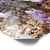 Cyclamen Foto Afdruk (Hoek)