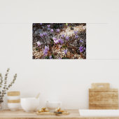 Cyclamen-Poster Poster (Keuken)