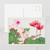 Cyclamen van Tanigami Konan Briefkaart (Voorkant / Achterkant)