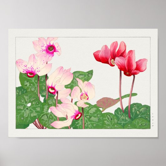 Cyclamen van Tanigami Konan Poster (Voorkant)