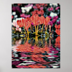 Cyclamens die reflecteren in water poster