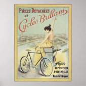 Cycli Brijante  Franse bijenkast Poster (Voorkant)