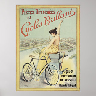 Cycli Brijante  Franse bijenkast Poster