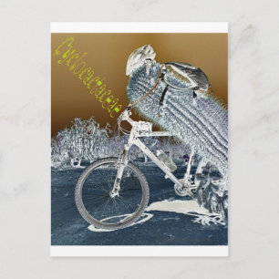 Cyclocactaceae Briefkaart