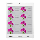 Cyclomeen bloemen Eva Duncan Etiket (Full Sheet)