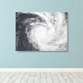 Cyclondierentuin in het zuidelijke deel van de Sti Canvas Afdruk (Insitu (Houten vloer))