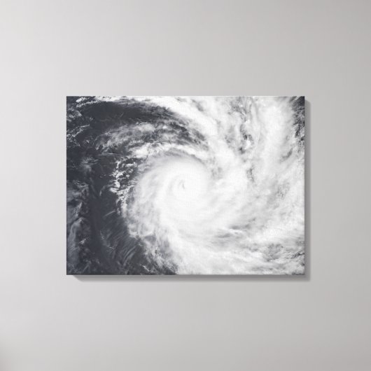 Cyclondierentuin in het zuidelijke deel van de Sti Canvas Afdruk (Voorkant)