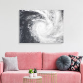 Cyclondierentuin in het zuidelijke deel van de Sti Canvas Afdruk (Insitu (Woonkamer))