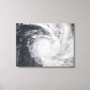 Cyclondierentuin in het zuidelijke deel van de Sti Canvas Afdruk