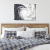 Cyclondierentuin in het zuidelijke deel van de Sti Canvas Afdruk (Insitu (Slaapkamer))